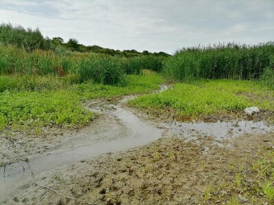 Akumulaciono jezero Ljukovo, Jarkovci