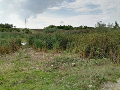 Akumulaciono jezero Ljukovo, Jarkovci