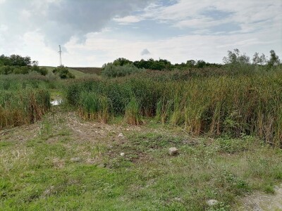 Akumulaciono jezero Ljukovo, Jarkovci