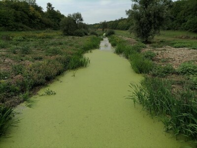 Akumulaciono jezero Ljukovo, Jarkovci