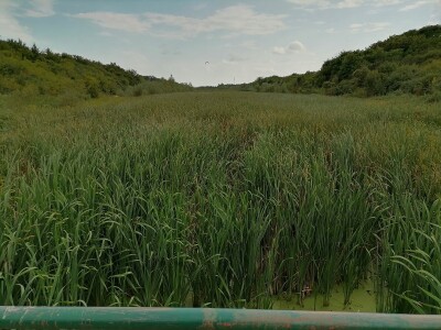 Akumulaciono jezero Ljukovo, Jarkovci