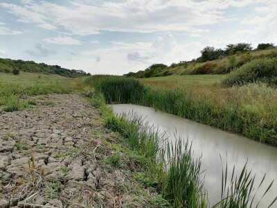 Akumulaciono jezero Ljukovo, Jarkovci