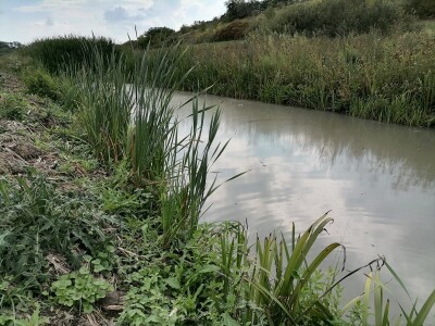 Akumulaciono jezero Ljukovo, Jarkovci