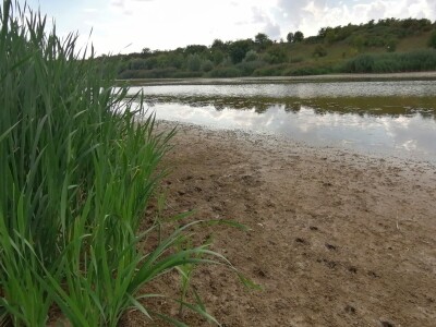 Akumulaciono jezero Ljukovo, Jarkovci