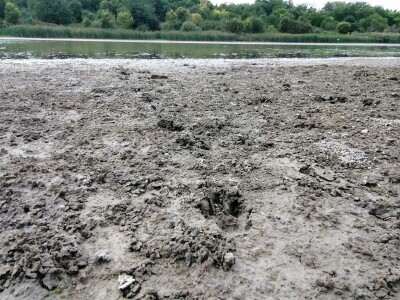 Akumulaciono jezero Ljukovo, Jarkovci