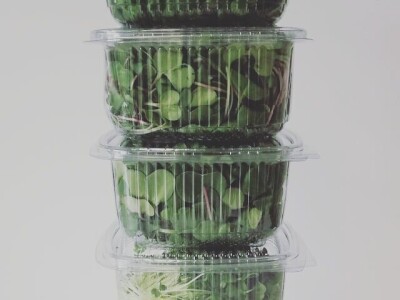 Aldin Drnda i Dino Dizdarević prvi u BiH pokrenuli proizvodnju mikropovrća