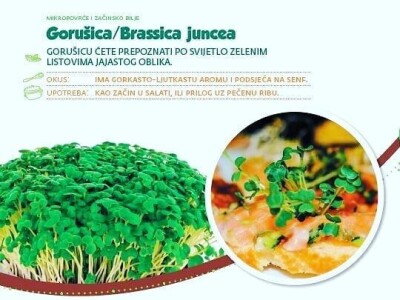 Aldin Drnda i Dino Dizdarević prvi u BiH pokrenuli proizvodnju mikropovrća