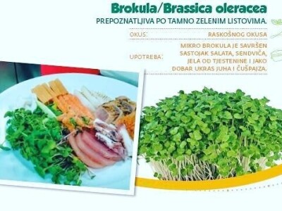 Aldin Drnda i Dino Dizdarević prvi u BiH pokrenuli proizvodnju mikropovrća