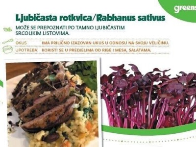 Aldin Drnda i Dino Dizdarević prvi u BiH pokrenuli proizvodnju mikropovrća