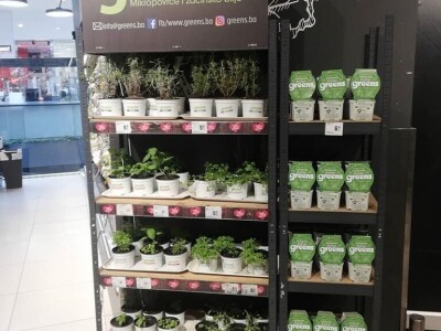 Aldin Drnda i Dino Dizdarević prvi u BiH pokrenuli proizvodnju mikropovrća