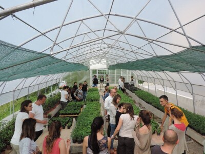 Aldin Drnda i Dino Dizdarević prvi u BiH pokrenuli proizvodnju mikropovrća