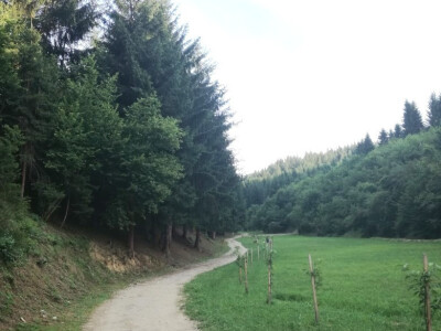 Aleja voća uz šetnicu Aleja voća uz šetnicu