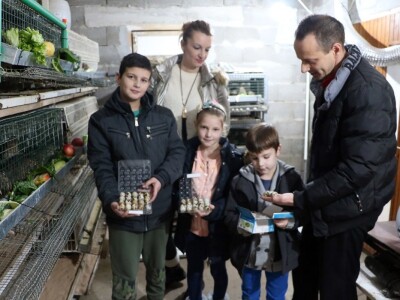 Aleksandar Sredanović:  Od uzgoja japanskih prepelica može lijepo da se zaradi Aleksandar Sredanović:  Od uzgoja japanskih prepelica može lijepo da se zaradi