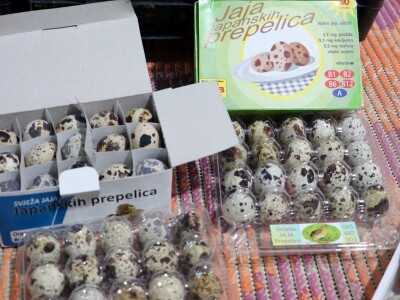 Aleksandar Sredanović:  Od uzgoja japanskih prepelica može lijepo da se zaradi Aleksandar Sredanović:  Od uzgoja japanskih prepelica može lijepo da se zaradi