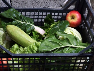 Aleksandar Sredanović:  Od uzgoja japanskih prepelica može lijepo da se zaradi Aleksandar Sredanović:  Od uzgoja japanskih prepelica može lijepo da se zaradi