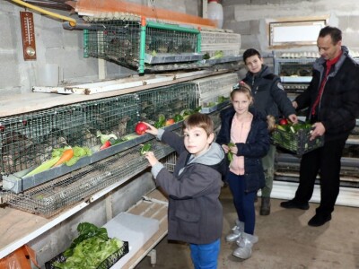 Aleksandar Sredanović:  Od uzgoja japanskih prepelica može lijepo da se zaradi Aleksandar Sredanović:  Od uzgoja japanskih prepelica može lijepo da se zaradi