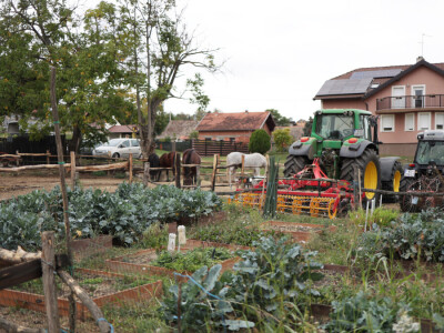 Aleksandra Zajac - Najuzornija hrvatska seoska žena 2025