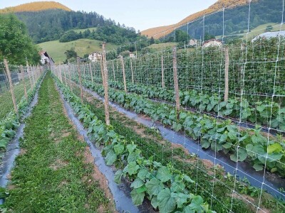 Alen Bašić- Donji Vakuf Alen Bašić- Donji Vakuf