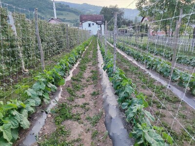 Alen Bašić- Donji Vakuf Alen Bašić- Donji Vakuf