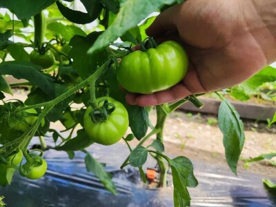 Alen Bašić- Donji Vakuf Alen Bašić- Donji Vakuf