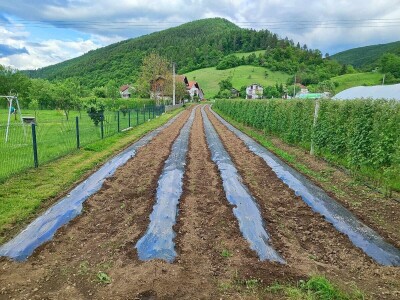Alen Bašić- Donji Vakuf Alen Bašić- Donji Vakuf