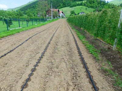 Alen Bašić- Donji Vakuf Alen Bašić- Donji Vakuf