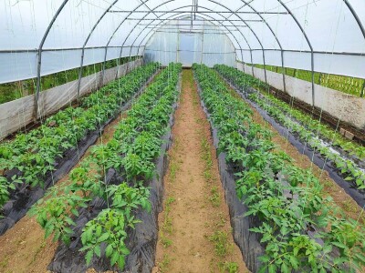 Alen Bašić- Donji Vakuf Alen Bašić- Donji Vakuf