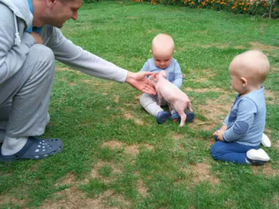 Alen sa sinovima i praščićem