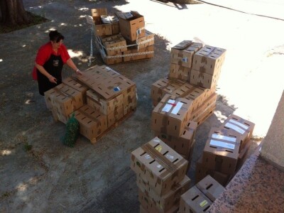 Alma Cvjetković - Helicikultura Alma Cvjetković - Helicikultura