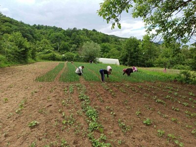 Almir Hodžić: Proširit ću plasteničku proizvodnju, jer se domaći proizvodi sve više cijene