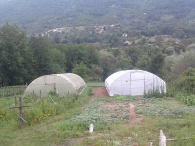 Almir Hodžić: Proširit ću plasteničku proizvodnju, jer se domaći proizvodi sve više cijene