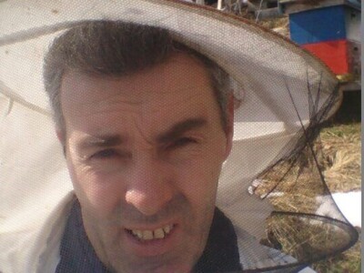 Almir Hujdur: Pčelinjim ubodima se borim protiv multiple skleroze Almir Hujdur: Pčelinjim ubodima se borim protiv multiple skleroze