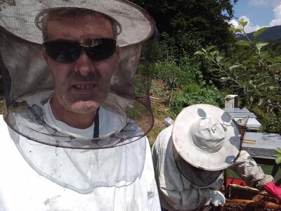 Almir Hujdur: Pčelinjim ubodima se borim protiv multiple skleroze Almir Hujdur: Pčelinjim ubodima se borim protiv multiple skleroze