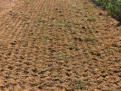 Alpego rotodrljača RmaX