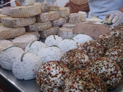 Alpina ili domaća bela koza?