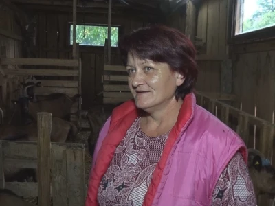 Alpske koze
