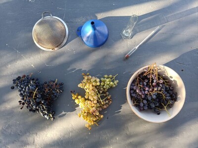 Alterego - promocija živih vina koja se mijenjaju, ovisno o godini