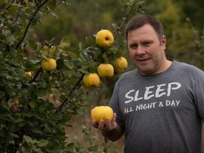 Alternativna zaštita protiv ervinije