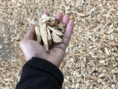 Alvie and Dalraddy Estates, Kincraig, Škotska