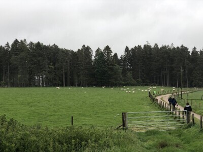 Alvie and Dalraddy Estates, Kincraig, Škotska