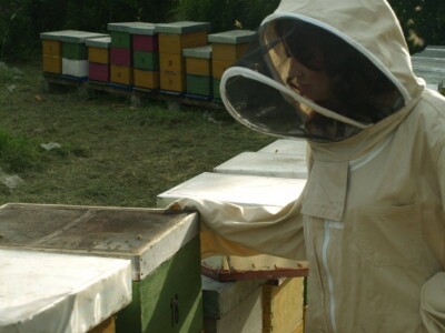 Pčelarstvom grade zajedničku budućnost Pčelarstvom grade zajedničku budućnost