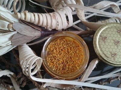 Pčelarstvom grade zajedničku budućnost Pčelarstvom grade zajedničku budućnost