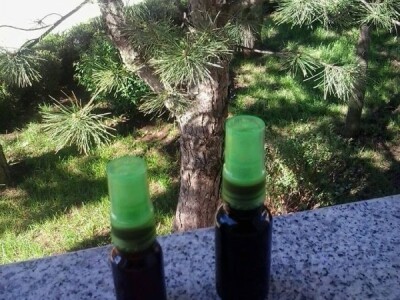 Pčelarstvom grade zajedničku budućnost Pčelarstvom grade zajedničku budućnost