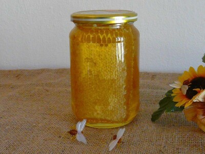 Pčelarstvom grade zajedničku budućnost Pčelarstvom grade zajedničku budućnost