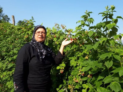 Amra Peco-Ugarak uništila jagode, maline i ribizle - prebacila se na povrće