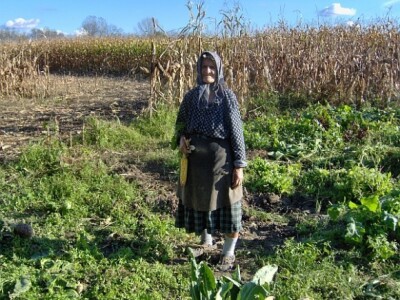 Kćerka Mihovila Pavleka Miškine razgledava posljedice poplave u svom povrtnjaku