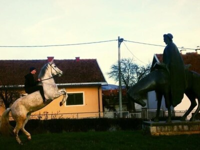 Ana Jergović, ljubiteljica životinja