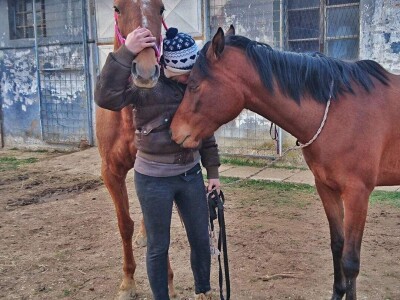 Ana Jergović, ljubiteljica životinja