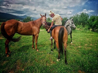 Ana Jergović, ljubiteljica životinja