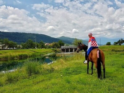 Ana Jergović, ljubiteljica životinja